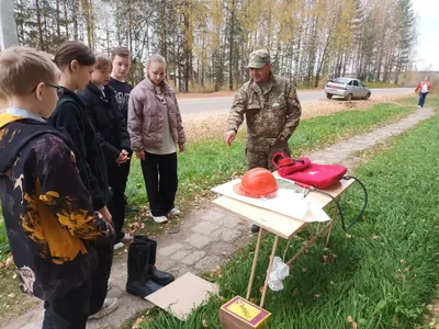 Волшебные фотографии Кологривского леса создадут неповторимую атмосферу