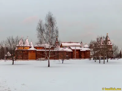 Зимние пейзажи Коломенского: выберите фото для скачивания