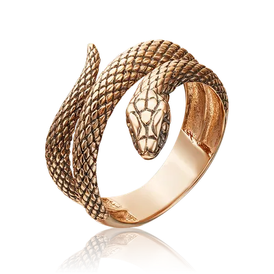 Кольцо со змеей - фото в формате png, размер S