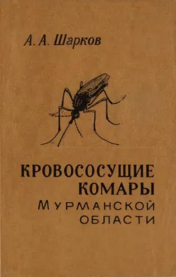 Фото комара 2024 года