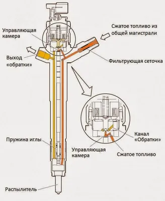 Фотки кинозвезд: возможность выбора формата (JPG, PNG, WebP)