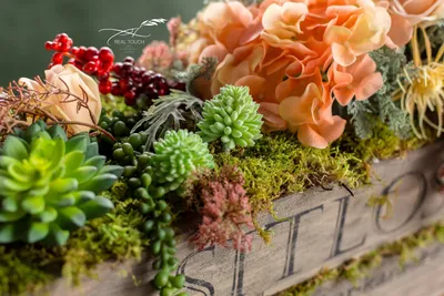 Кухонные цветы, которые добавят яркие акценты: фото