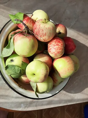 Фотка компота из яблок в зимний период