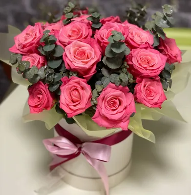 Очаровательные картинки роз в разных форматах: jpg, png, webp