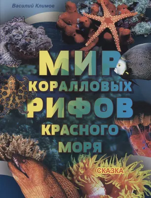 Невероятные изображения кораллов Красного моря