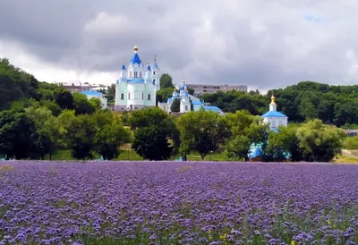 Пустыня Коренная пустынь на фото