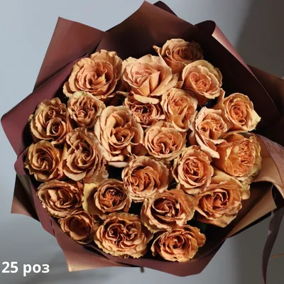 Фото розы в коричневом оттенке для использования