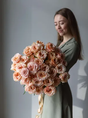 Фото розы с коричневыми лепестками для иллюстрации