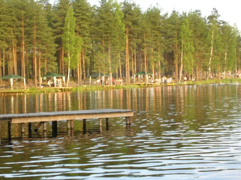 Озеро коркинское всеволожский. Коркинское озеро СПБ. Коркино озеро. Озеро Кафтино.