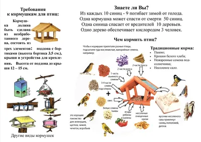 Фото птиц, собирающихся на общей кормушке зимой