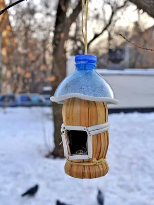 Фото уникальной кормушки для птиц, сделанной из старого ящика