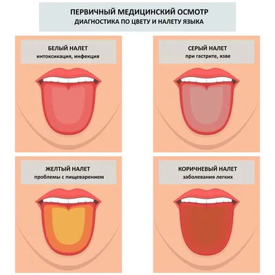 Визуализация истории: размер и формат на ваш выбор для Корня языка человека