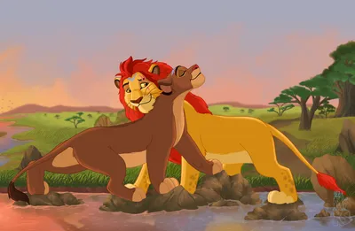 Король лев Кайон и Рани: фотографии львиного величия