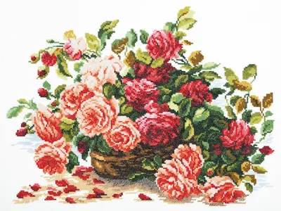 Уникальные фото роз, доступные в различных размерах
