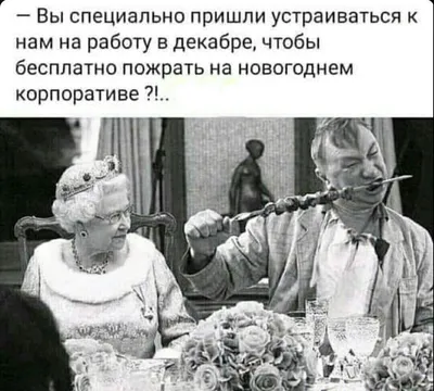 Смешные фотки - скачать бесплатно в формате png