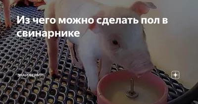 Корыто для свиней из дерева: как создать уютное место для свинок на ферме.