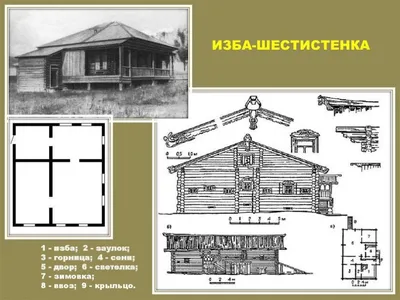 Свиньи в деревянном раю: корыто, созданное природой