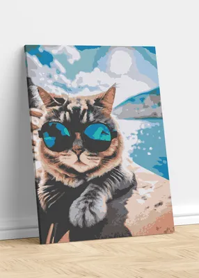 Кошка на пляже: скачать бесплатно красивые фото кошек на пляже