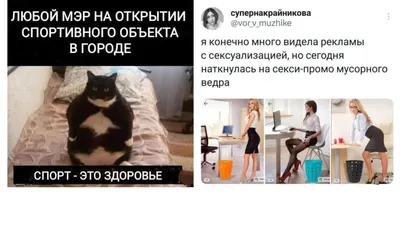 Фотографии кошек, доставляющие массу положительных эмоций