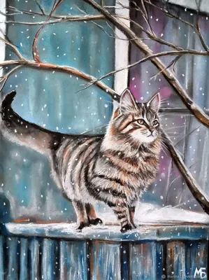 Фото кошек зимой: разные форматы и размеры для скачивания