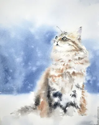 Фотографии зимних кошек: скачивание в разнообразных размерах