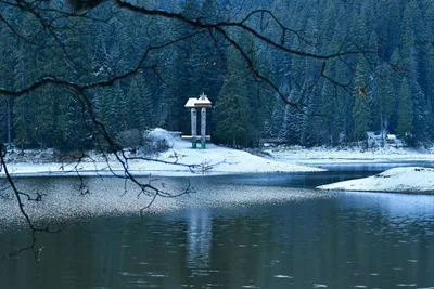 Зимние краски Косино: Фото для скачивания в WebP
