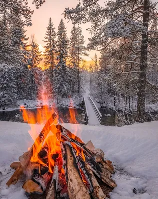 Костер зимой: Огонь и снег в идеальном сочетании