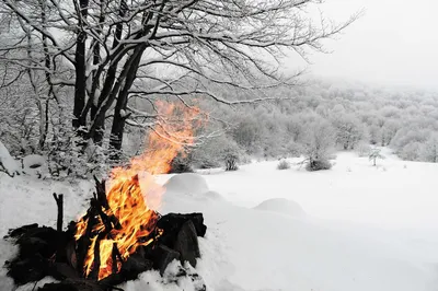 Фото костра: Зимний вечер в огненном обрамлении