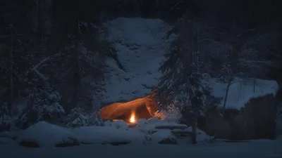 Зимний костер: Фотография уюта в снежной пустоте