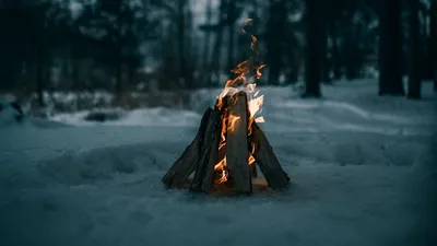 Зимний костер: Фотка тепла среди стужи