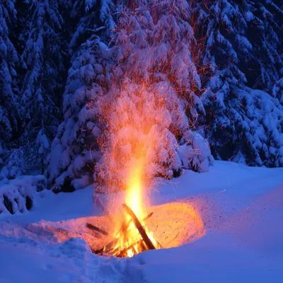 Изображение огненного костра в зимнем лесу