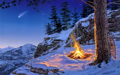 Фотка зимнего костра: Огонь и лед в уникальном союзе