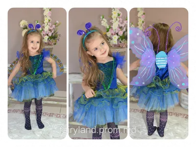 Фото костюма бабочки своими руками: выбирайте фотографии в разных форматах 