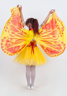Фото костюма бабочки своими руками: откройте для себя новые идеи 