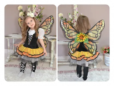 Уникальная фотография костюма бабочки: выберите нужный размер 