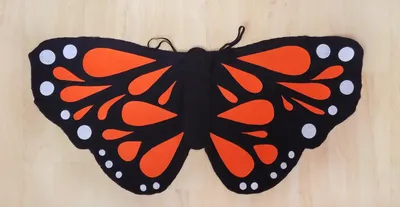 Размеры и форматы: фотографии костюма бабочки 