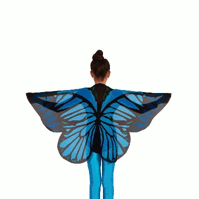 Воплотите свои задумки: фото костюма бабочки своими руками 