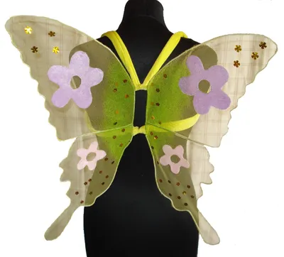 Оживите свою гардеробную с фото костюма бабочки своими руками 