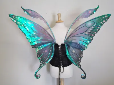 Прекрасная красота: фотография костюма бабочки 