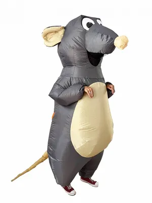 Фотография крысы в костюме: выберите формат для скачивания