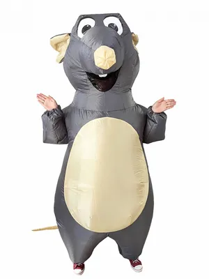 Крыса в костюме: различные форматы изображения