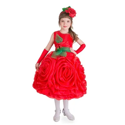 Изящное изображение костюма розы для скачивания
