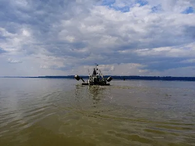 Экскурсия в мир Костромского моря через фотографии