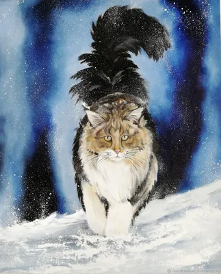 Котик в зимнем наряде: скачать фото в PNG