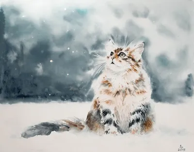 Кот в зимнем наряде: изображение в WebP