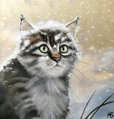 Full HD фото: Зимний котенок в великолепном качестве