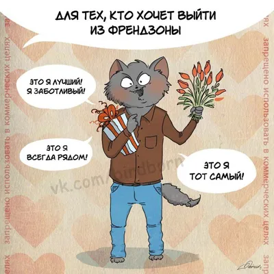 Коты на фото в формате png