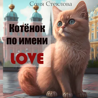 Коты на фото в HD качестве