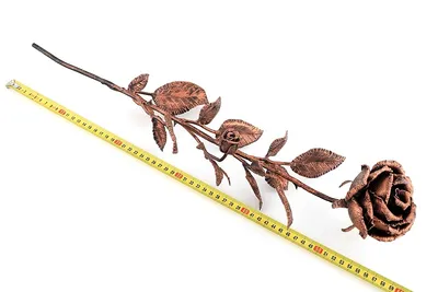 Уникальная кованая роза - бесплатное изображение для скачивания