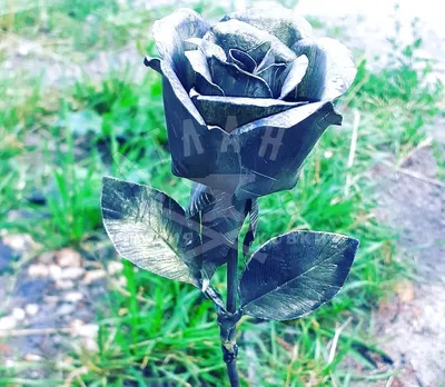 Идеальное изображение кованой розы для декора - выберите нужный формат